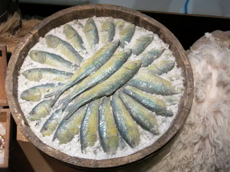 Salmão com alho e salsinha