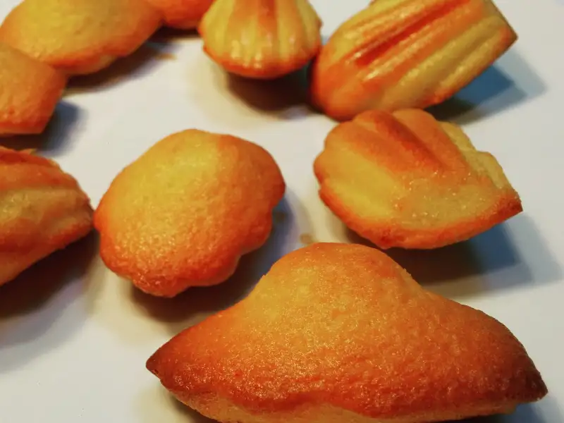 Belgian Madeleine