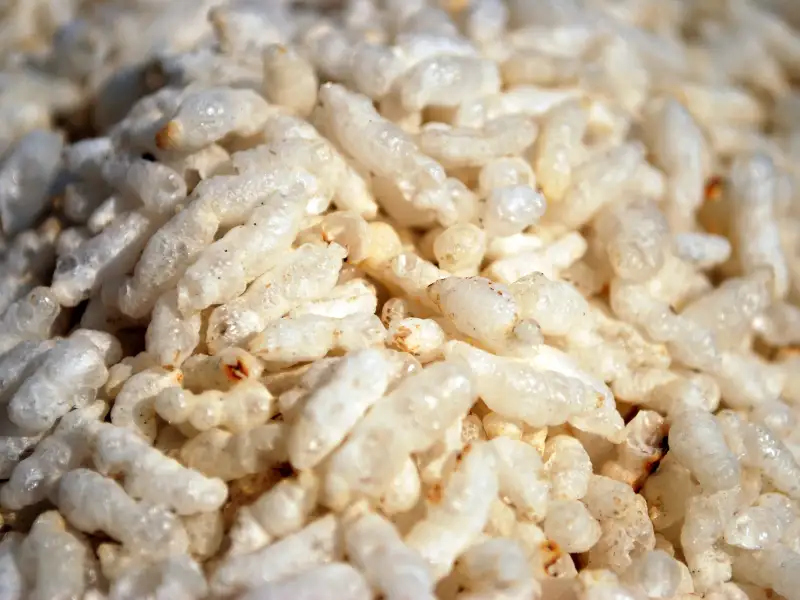 Biscotti al cioccolato e riso