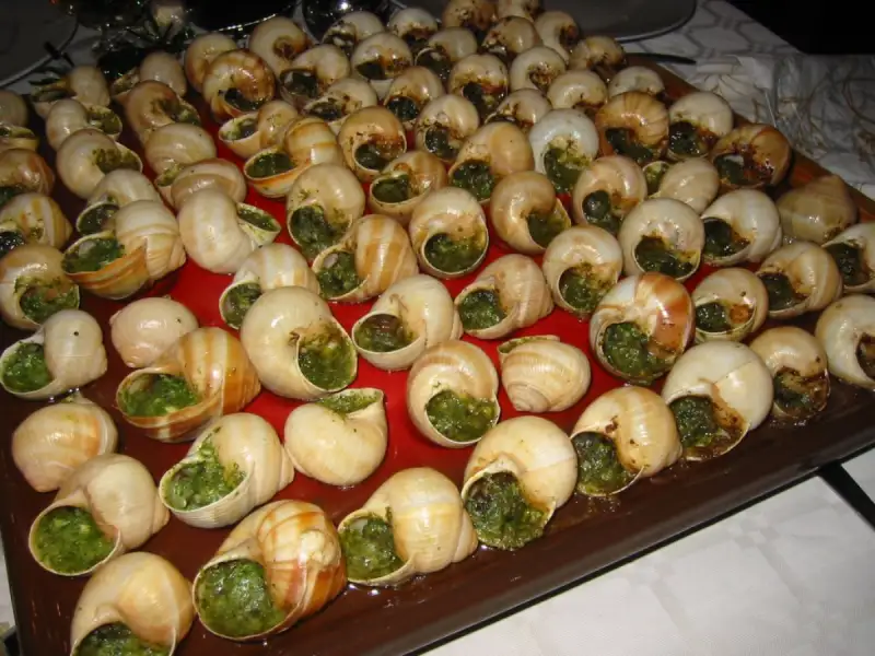 Burgundy snails