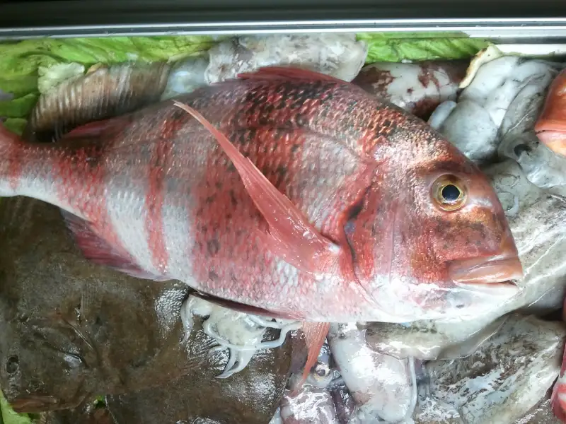 Calabaza, pepino, verduras y especias
