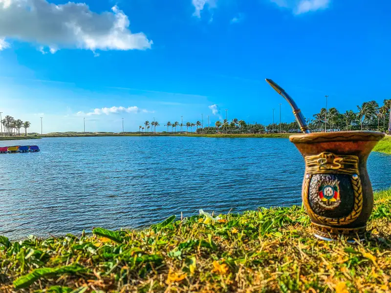 Chimarrão, brazylijski napój na bazie herbaty mate