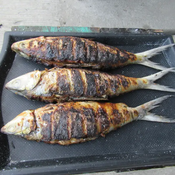 Gegrilde daurade gevuld met ui en tomaat