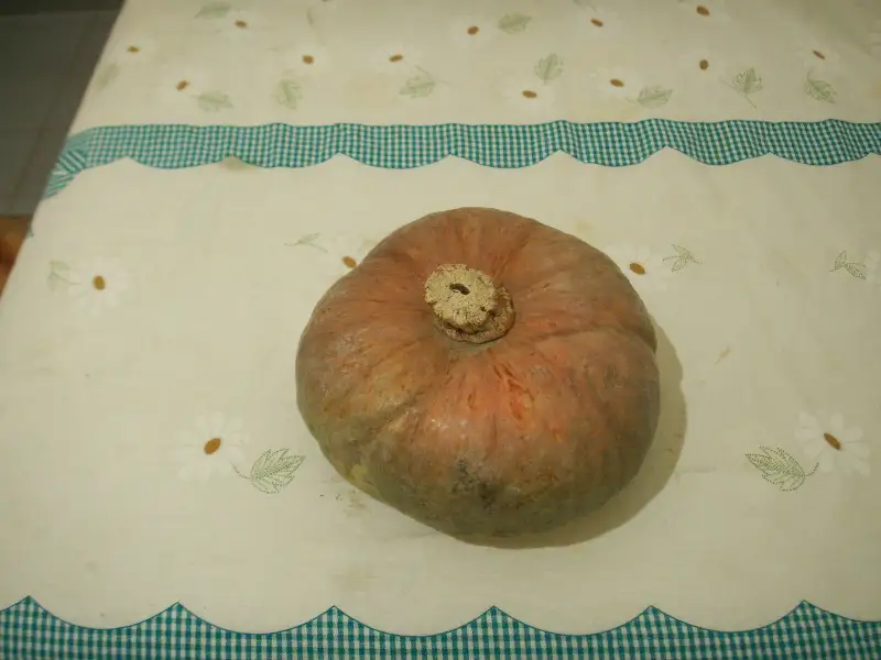Focaccia ligure à la courge