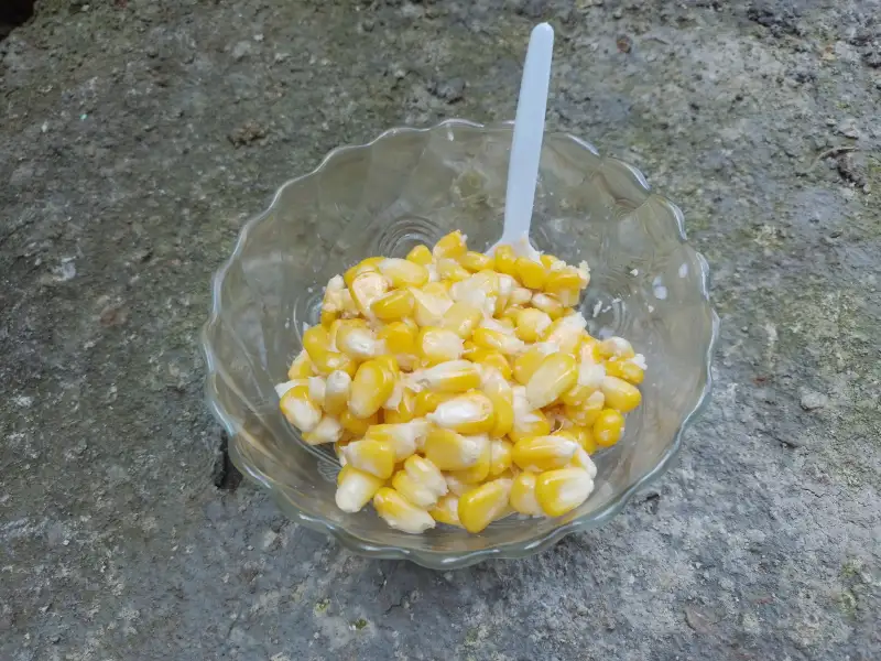 Jasuke, maar vooral bij melk en kaas.