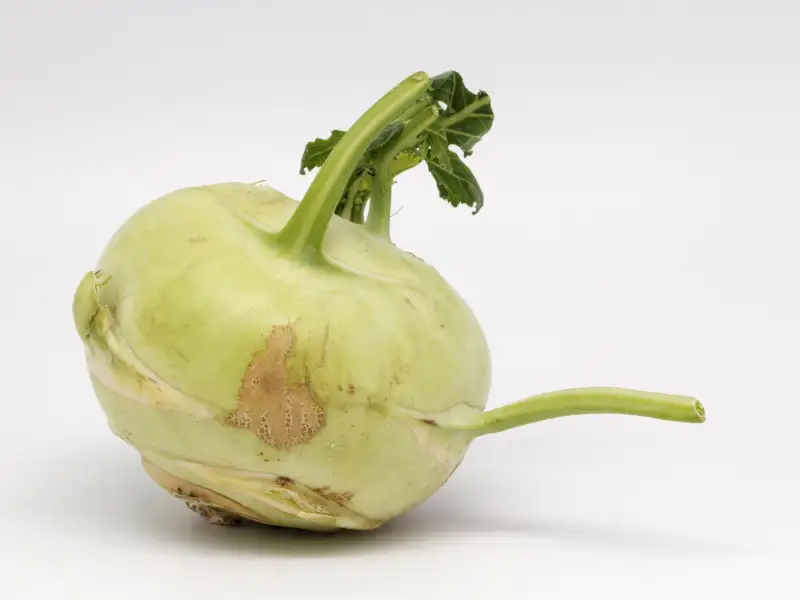 kohlrabi
