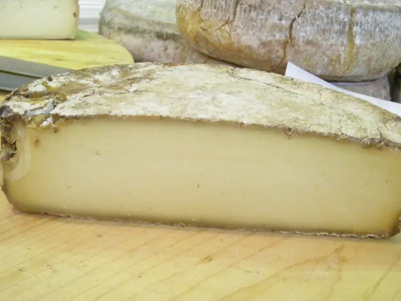 Morlacco