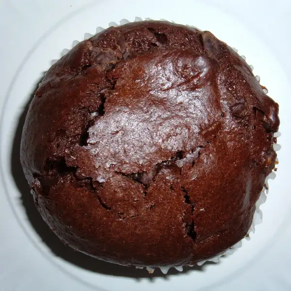 double chocolate muffins