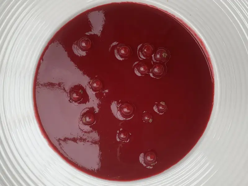 Panna Cotta mit Beeren