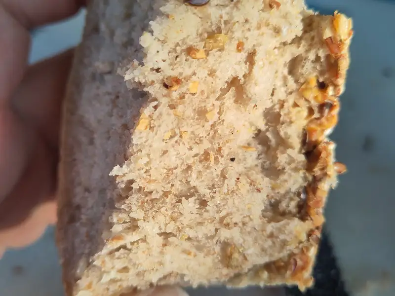 Pão com sementes e farinha de trigo de soja