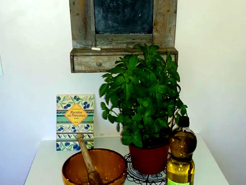 Pistou