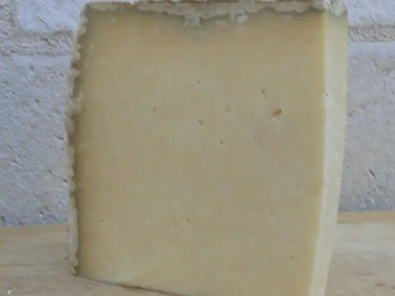 Queso de vaca