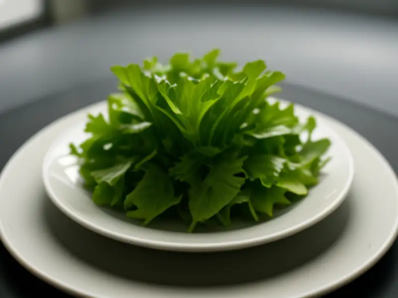 Verse salade van brandnetels met een vinaigrette