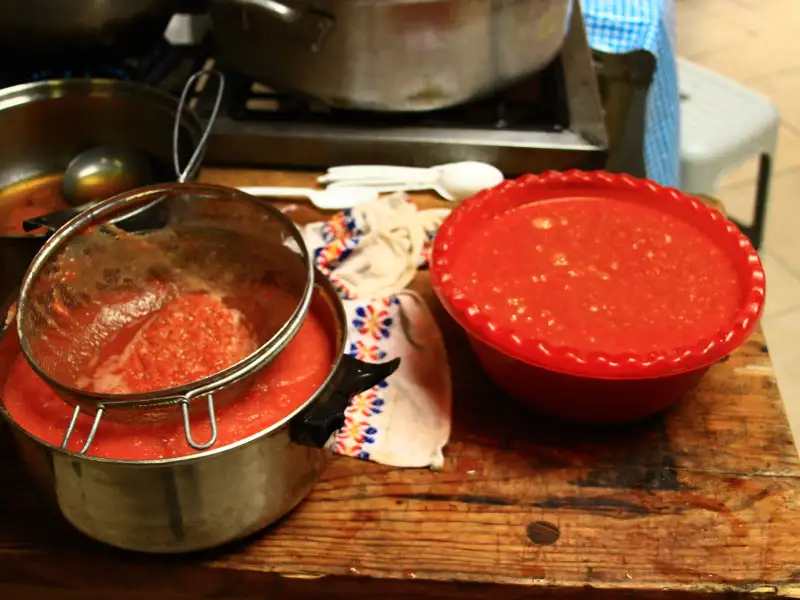 Salsa mexicana fresca con tomate y cilantro