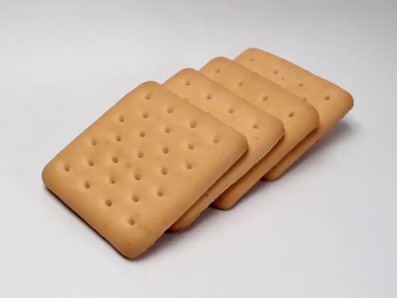 Biscuit de mer