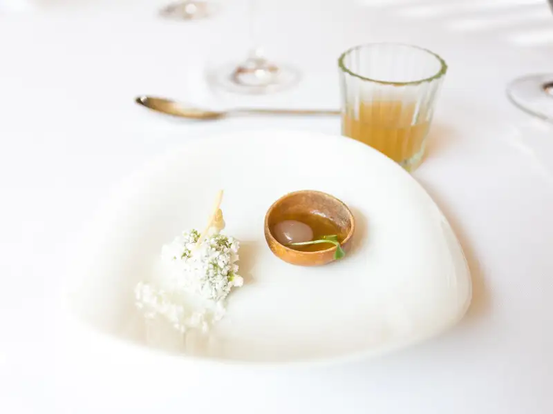 Sopa de frango, creme e limão siciliano